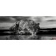 Wallpapers mural leopard in grey sunset Wallpapers mural leopard in grey sunset