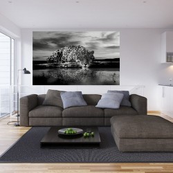Wallpapers mural leopard in grey sunset