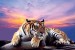 Photo mural purple sunset with a big tiger