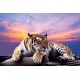 Photo mural purple sunset with a big tiger