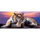 Photo mural purple sunset with a big tiger