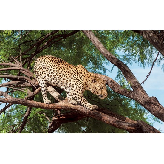Wallpapers mural hunting leopard on a tree