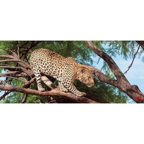 Wallpapers mural hunting leopard on a tree