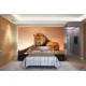 Wallpapers mural big lion with sunset background