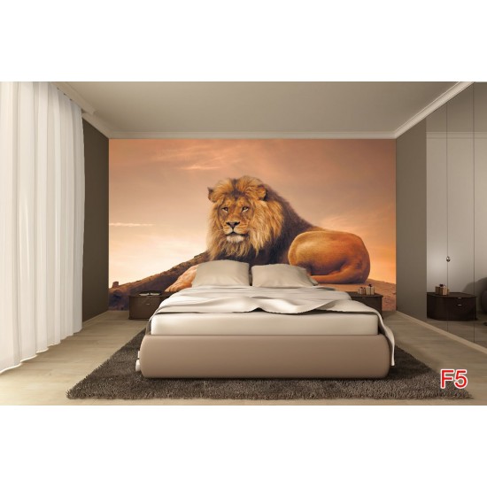 Wallpapers mural big lion with sunset background