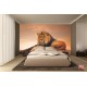 Wallpapers mural big lion with sunset background