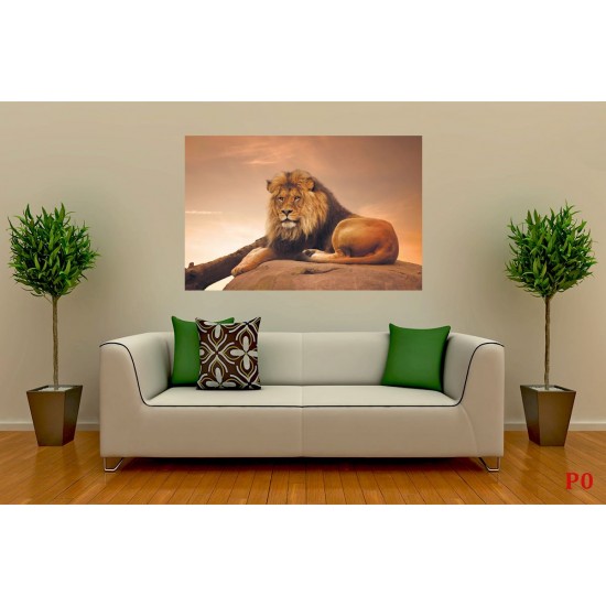 Wallpapers mural big lion with sunset background