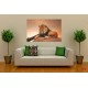 Wallpapers mural big lion with sunset background