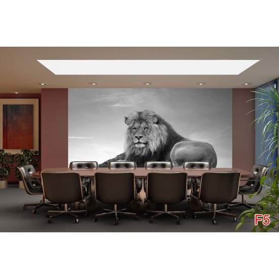 Wallpapers mural big lion on grey background
