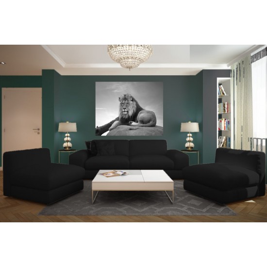 Wallpapers mural big lion on grey background