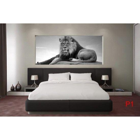 Wallpapers mural big lion on grey background