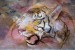 Wallpapers mural tiger's head painted in 3 colours