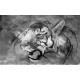 Wallpapers mural tiger's head painted in 3 colours Wallpapers mural tiger's head painted in 3 colours