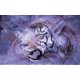 Wallpapers mural tiger's head painted in 3 colours Wallpapers mural tiger's head painted in 3 colours