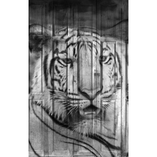 Wallpapers mural tiger's head painted on a door Wallpapers mural tiger's head painted on a door
