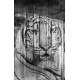 Wallpapers mural tiger's head painted on a door Wallpapers mural tiger's head painted on a door