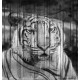 Wallpapers mural tiger's head painted on a door Wallpapers mural tiger's head painted on a door