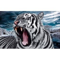 Wallpapers mural head of an angry tiger in 2 colors