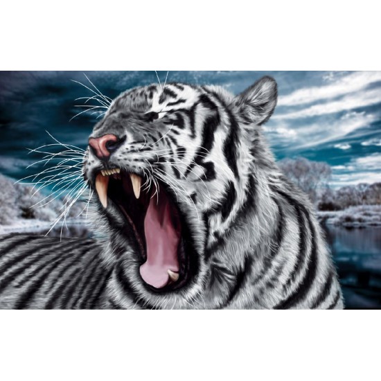 Wallpapers mural head of an angry tiger in 2 colors Wallpapers mural head of an angry tiger in 2 colors
