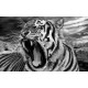 Wallpapers mural head of an angry tiger in 2 colors Wallpapers mural head of an angry tiger in 2 colors