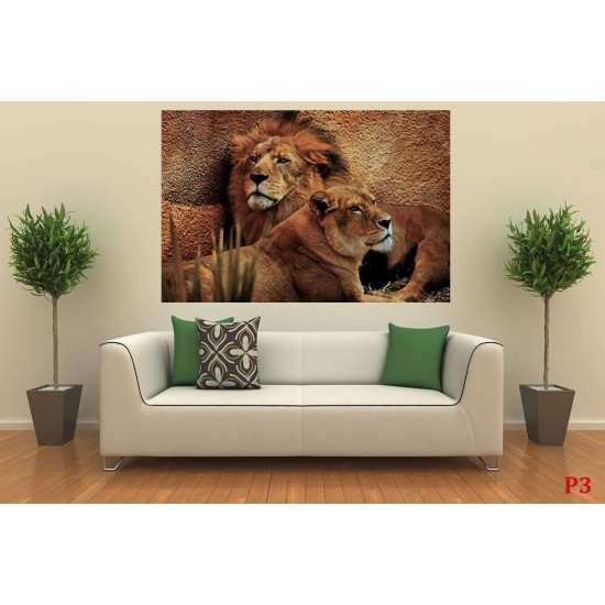 Wallpapers mural a pair of lion and lioness Wallpapers mural a pair of lion and lioness