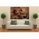 Wallpapers mural a pair of lion and lioness Wallpapers mural a pair of lion and lioness