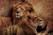 Wallpapers mural a pair of lion and lioness