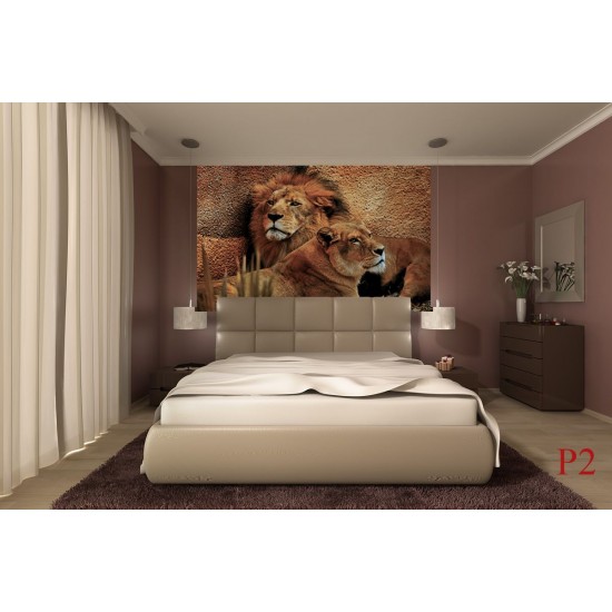 Wallpapers mural a pair of lion and lioness Wallpapers mural a pair of lion and lioness