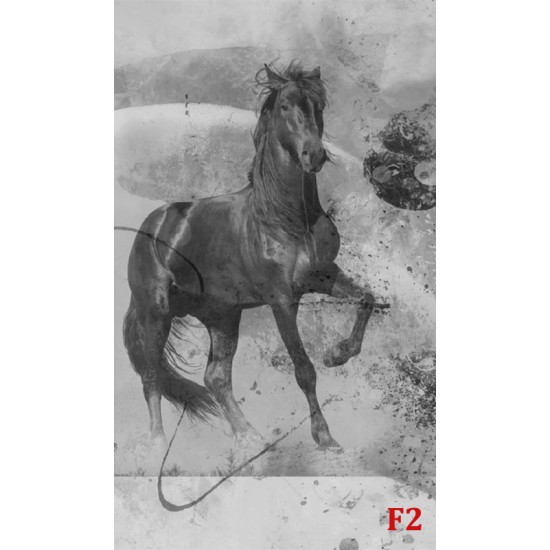 Wallpapers mural art wall with black horse 