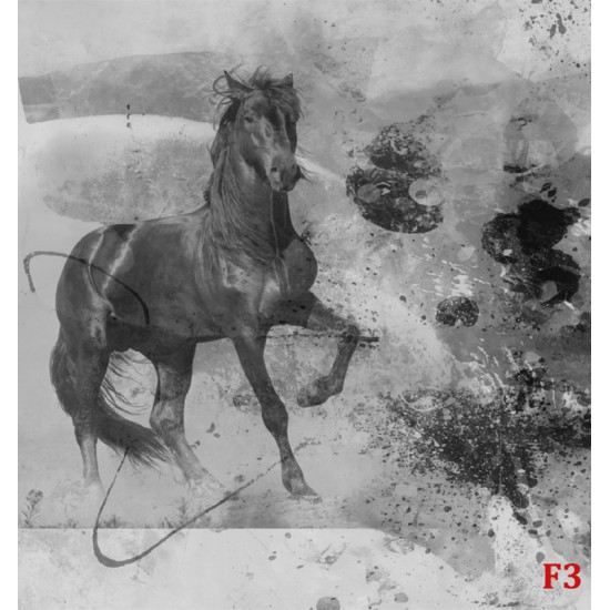Wallpapers mural art wall with black horse 