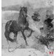 Wallpapers mural art wall with black horse 