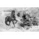 Wallpapers mural art wall with black horse 