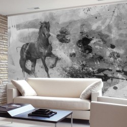 Wallpapers mural art wall with black horse Wallpapers mural art wall with black horse