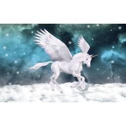 Wall murals white horse Pegasus