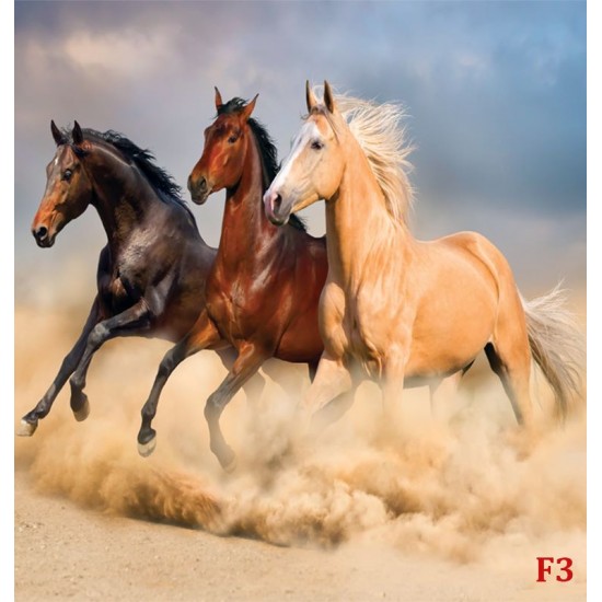 Wall mural color horses on sunset background 