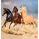 Wall mural color horses on sunset background 