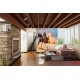 Wall mural color horses on sunset background 