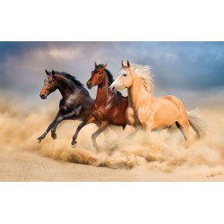 Wall mural color horses on sunset background 