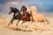 Wall mural color horses on sunset background 