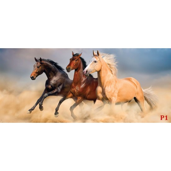 Wall mural color horses on sunset background 