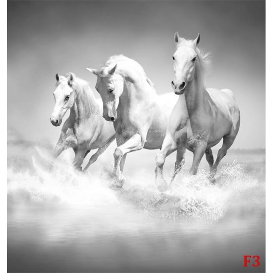 Wall mural Trio gray horses galloping in water