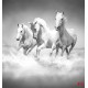 Wall mural Trio gray horses galloping in water