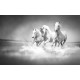 Wall mural Trio gray horses galloping in water