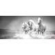 Wall mural Trio gray horses galloping in water