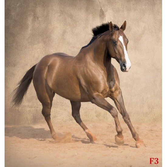 Wallpapers galloping horse with beige coating Wallpapers galloping horse with beige coating