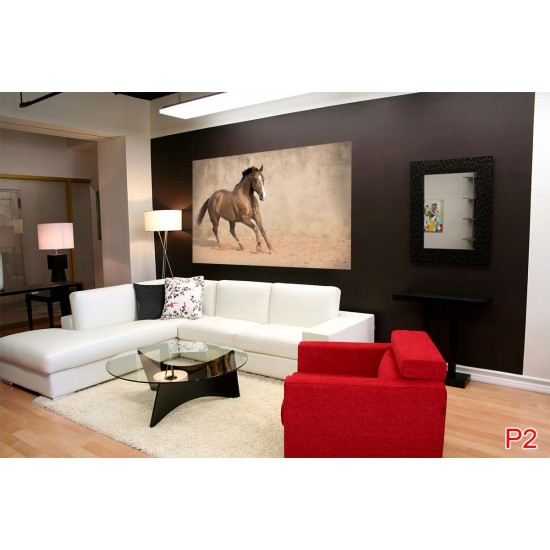 Wallpapers galloping horse with beige coating Wallpapers galloping horse with beige coating