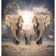 Wallpaper view of three beautiful elephants