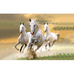 Wallpapers mural three white horses in a gallop model 2