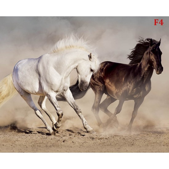 Photo mural a pair of horses in a gallop
