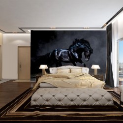 Wallpapers mural beautiful black horse